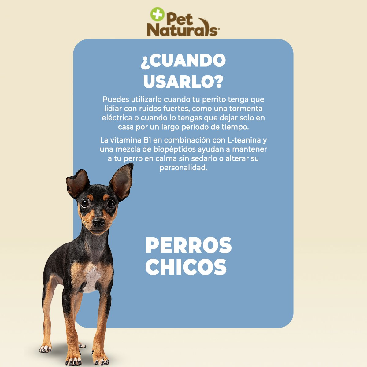 Pet Naturals Calmantes para Perros Chicos 31.5g