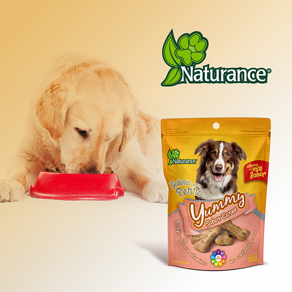 Yummy Sticks Premio para Perro Adulto Sabor Carne 100 g