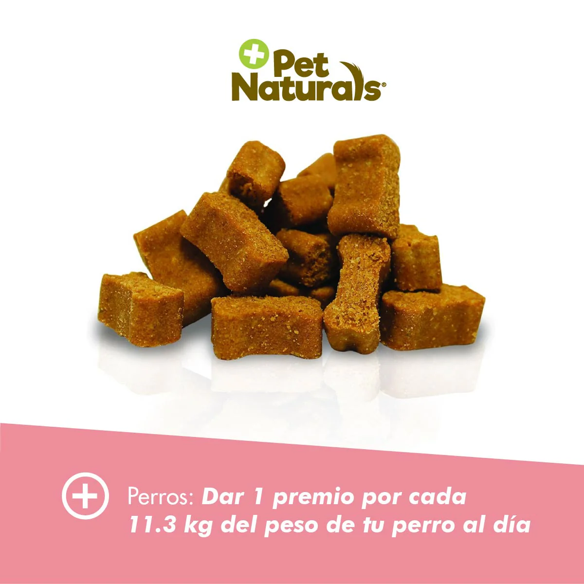Daily Probiotic para Perros – Soporte Digestivo Diario