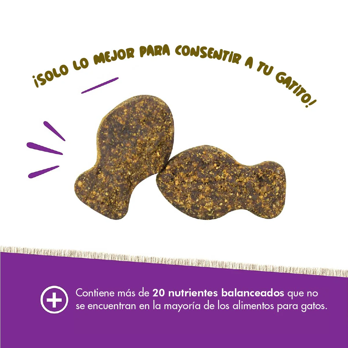 Vitalidad y Bienestar Diario – Daily Multi Vitaminas para Gatos