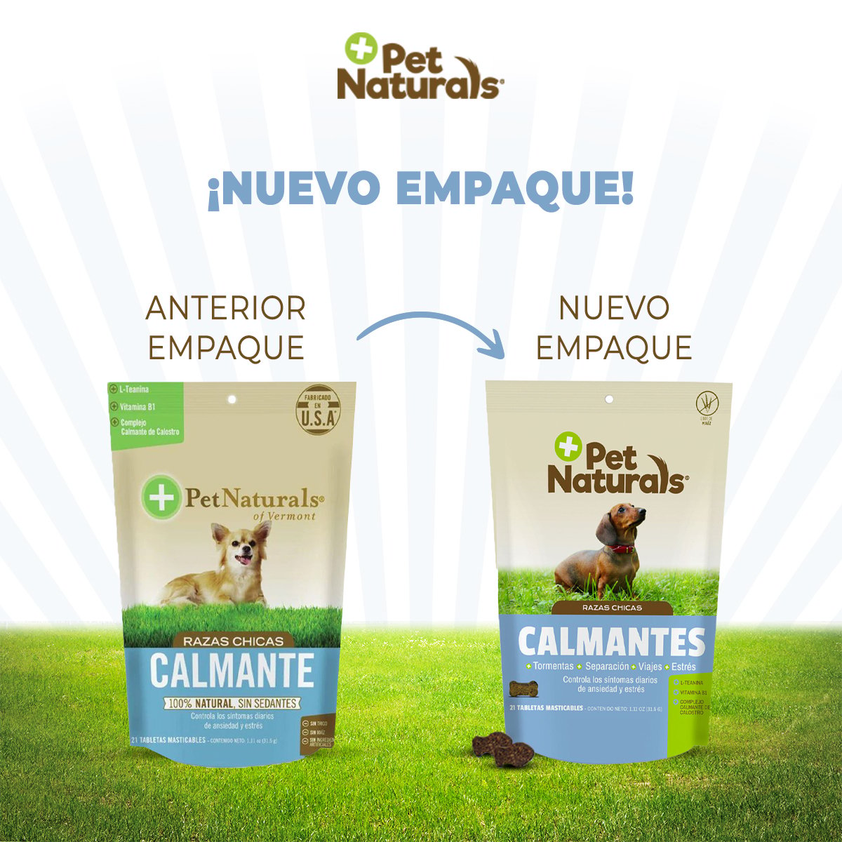 Pet Naturals Calmantes para Perros Chicos 31.5g
