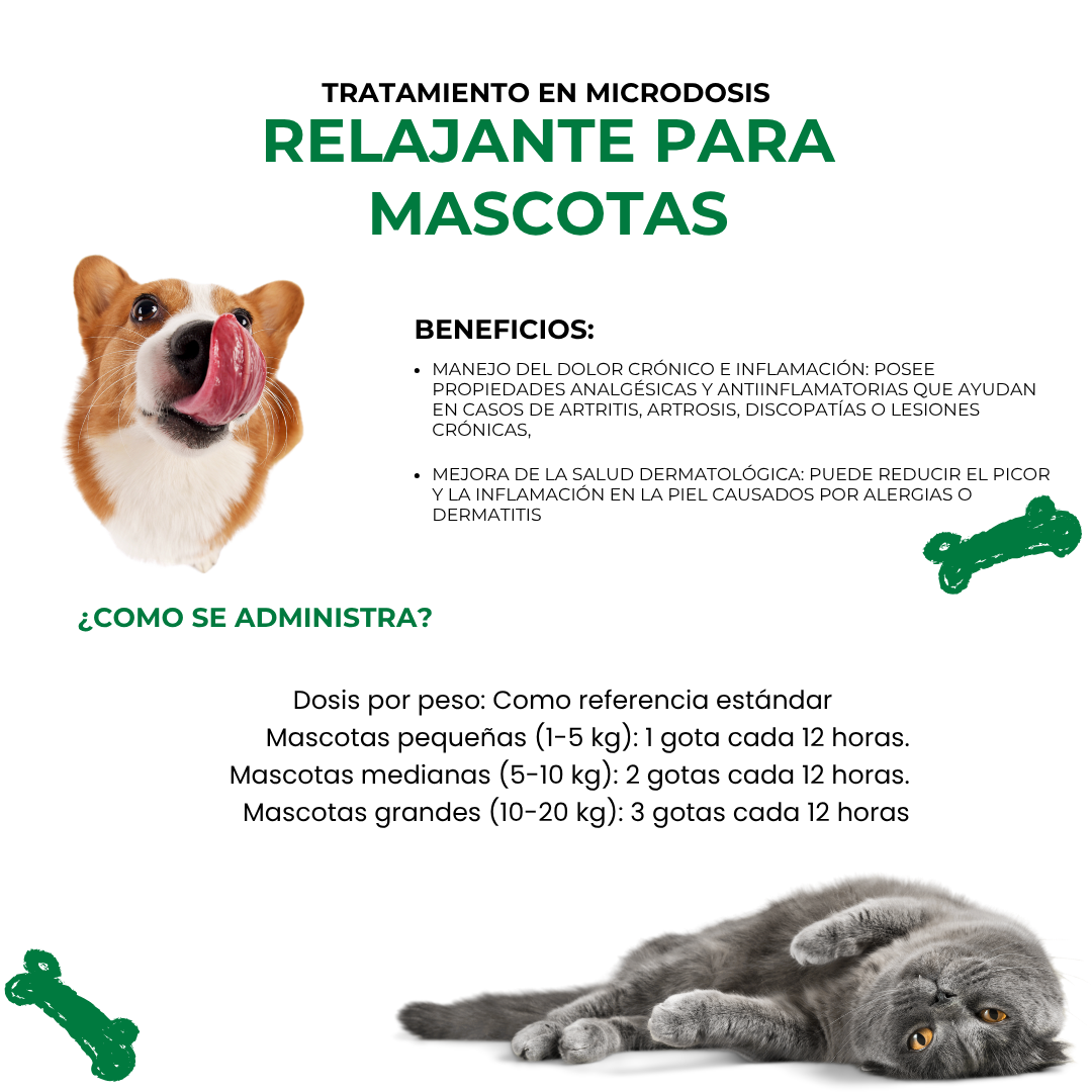 Aceite Petxie CBD para mascotas 420mg