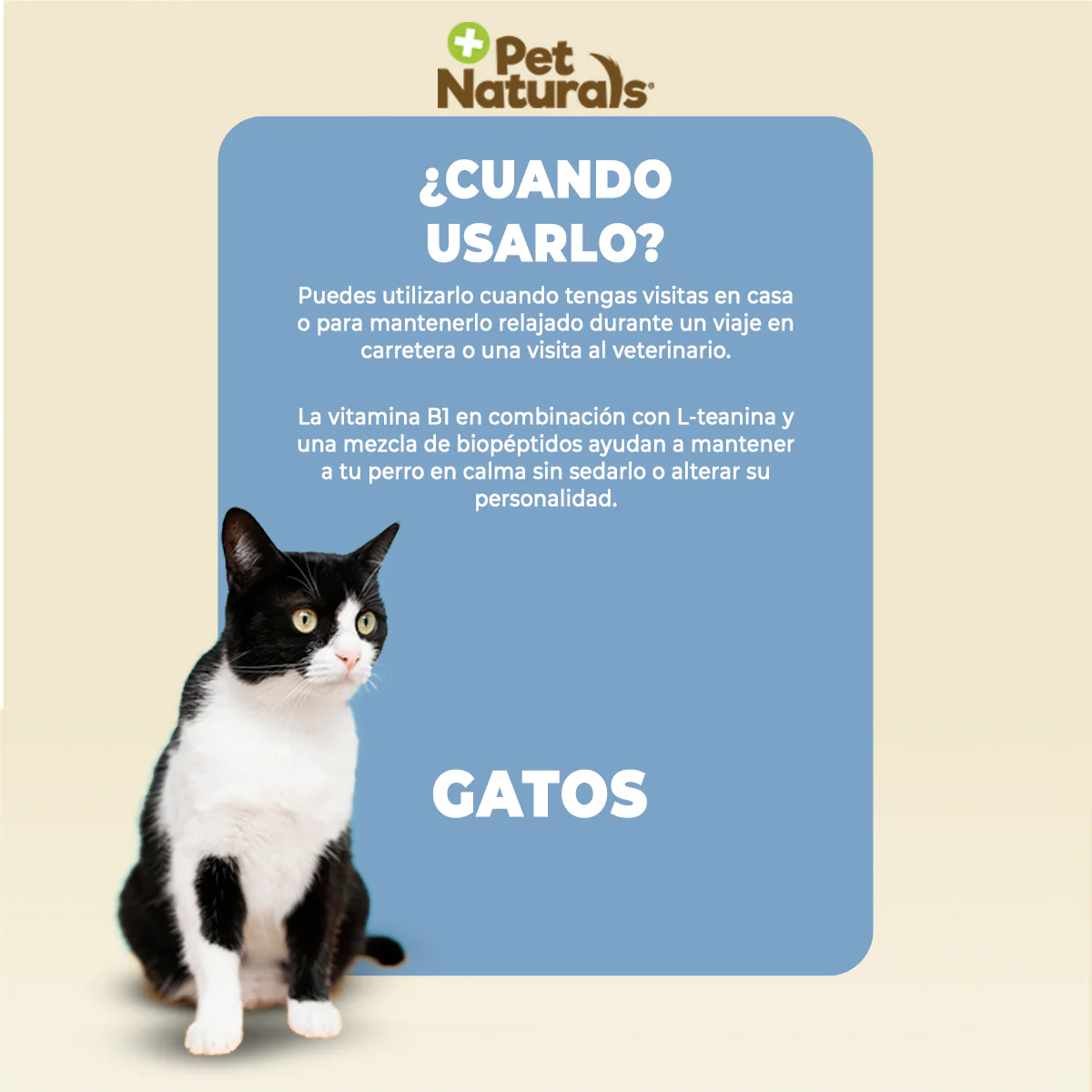 Pet Naturals Calmantes Naturales Masticables para Gato 31.5g