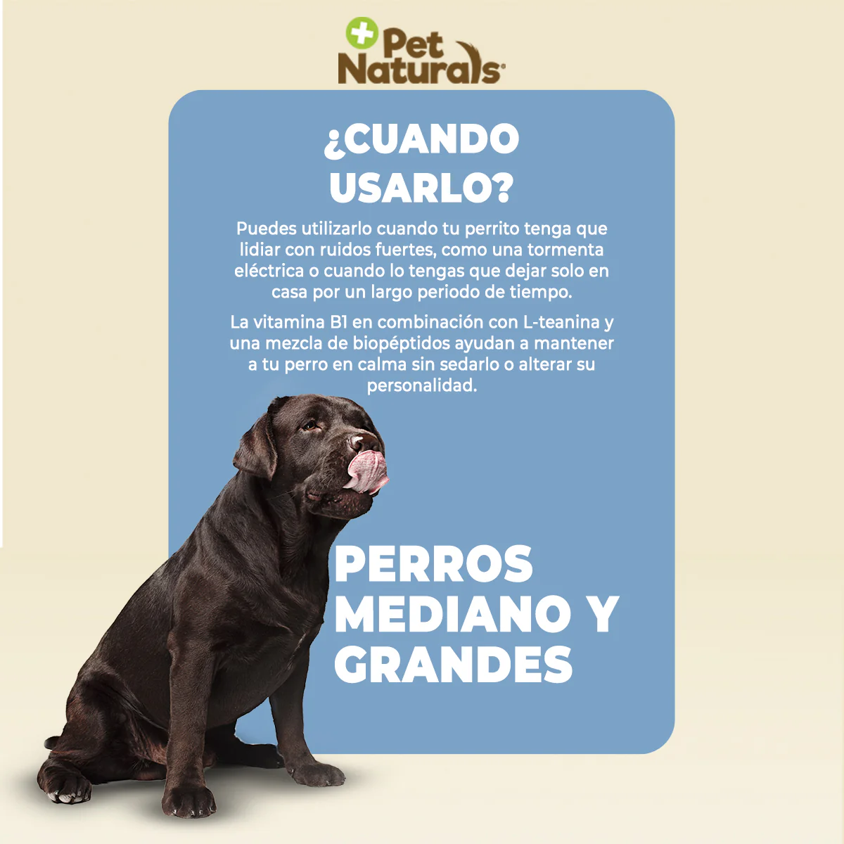 Pet Naturals Calmantes para Perros Medianos y Grandes 31.5g