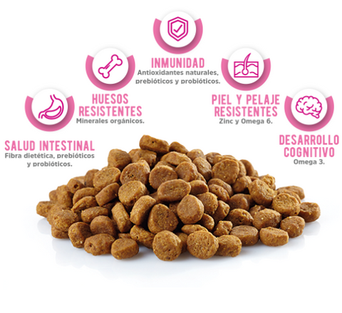 Kantek Holístico Alimento para Perro Cachorro Todas las Razas Pollo y Cerdo