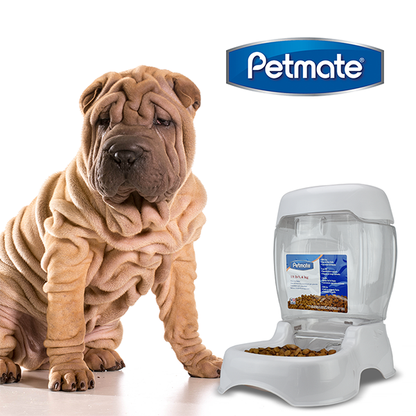 Alimentador Pet Café 12 lb (5 kg) – Dispensador de Croquetas para Mascotas