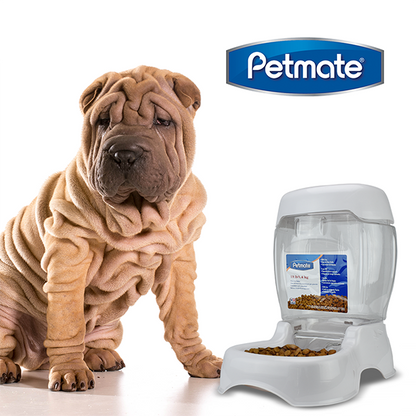 Alimentador Pet Café 12 lb (5 kg) – Dispensador de Croquetas para Mascotas