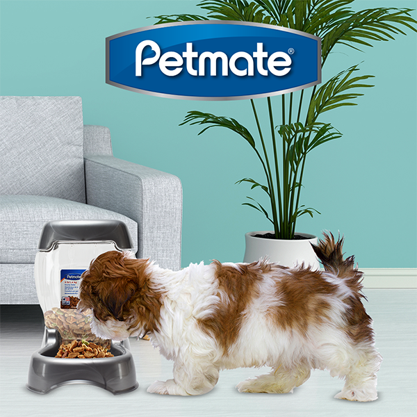Alimentador Pet Café 3 lb (1.5 kg) – Dispensador de Croquetas para Mascotas