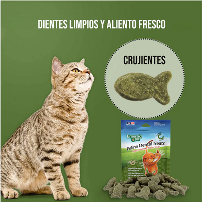 Emerald Pet Dental Treats para Gato Catnip – Fresh Pack 312 g