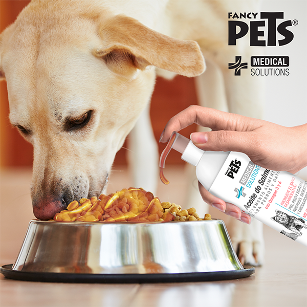 MS ACEITE DE SALMON PARA PERRO SUPLEMENTO OMEGA-3