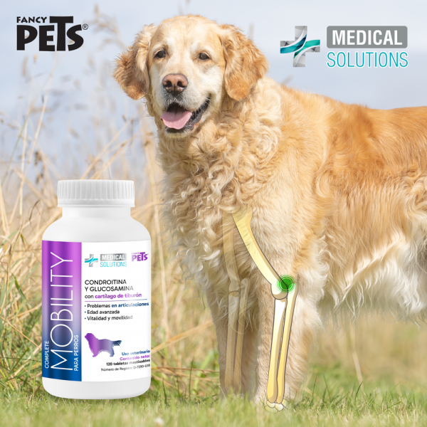 MS Complete Mobility para Perros – 120 Tabletas