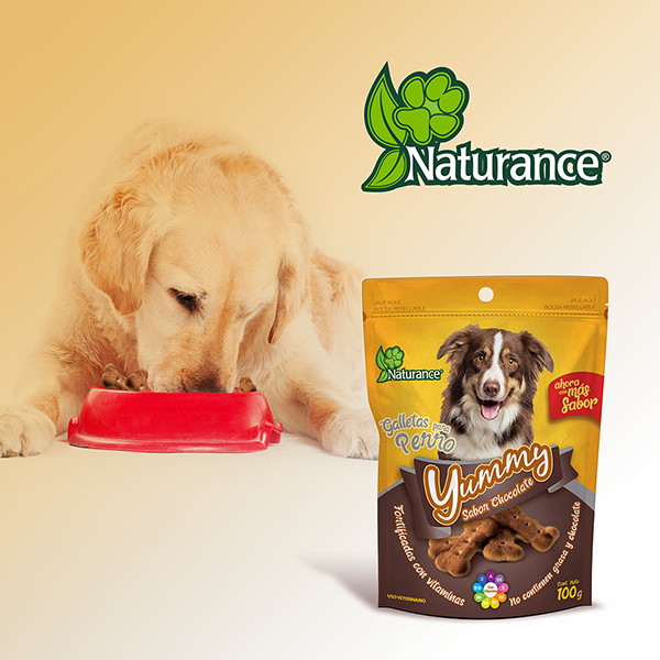 Yummy Sticks Premio para Perro Adulto Sabor Chocolate 100 g