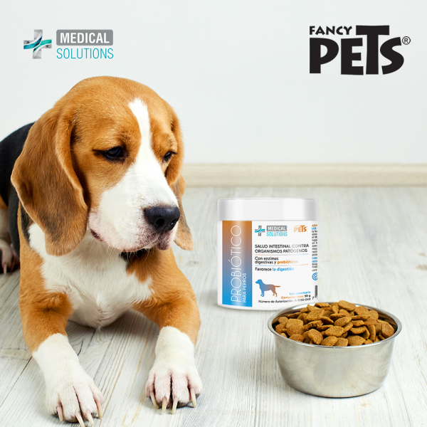 MS Suplemento Probiótico para Perro 90 g