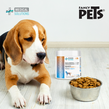 MS Suplemento Probiótico para Perro 90 g