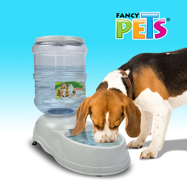 Alimentador Automático 6.8 kg – Dispensador de Croquetas para Mascotas