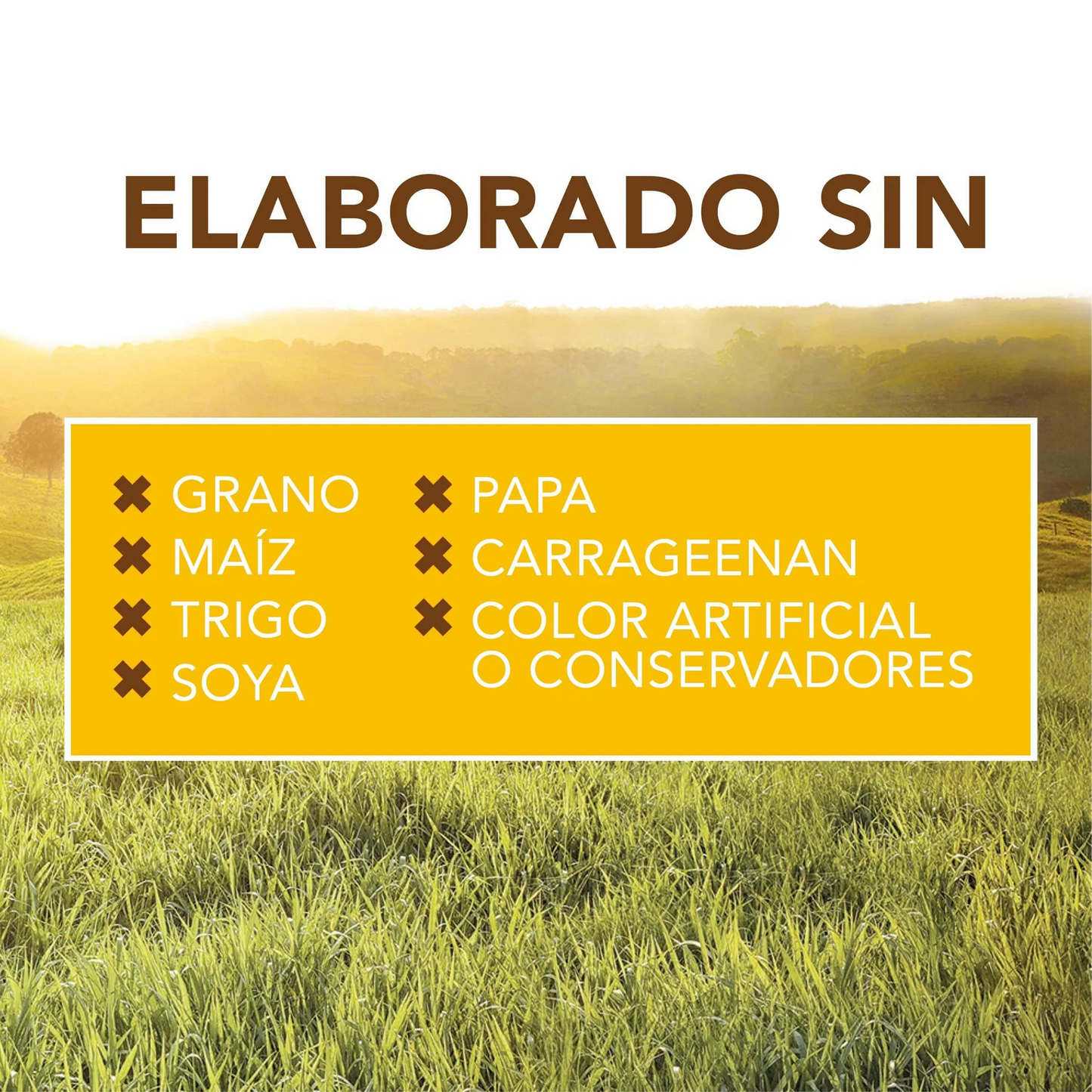 Alimento Húmedo para gato Pollo en Lata 5.5 oz