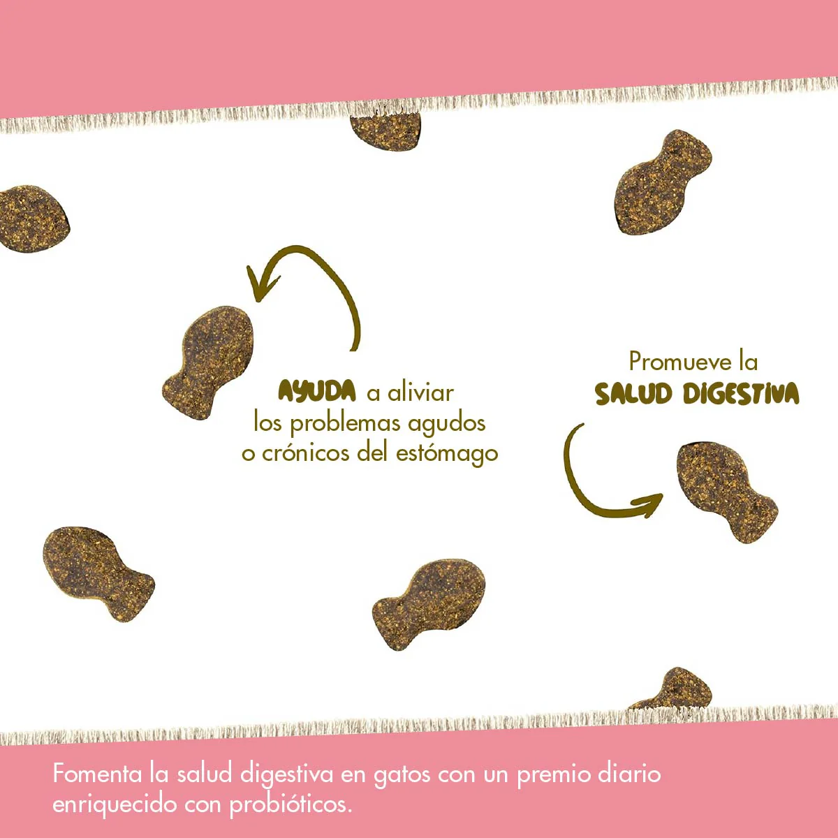 Daily Probiotic para Gatos – Soporte Digestivo Diario