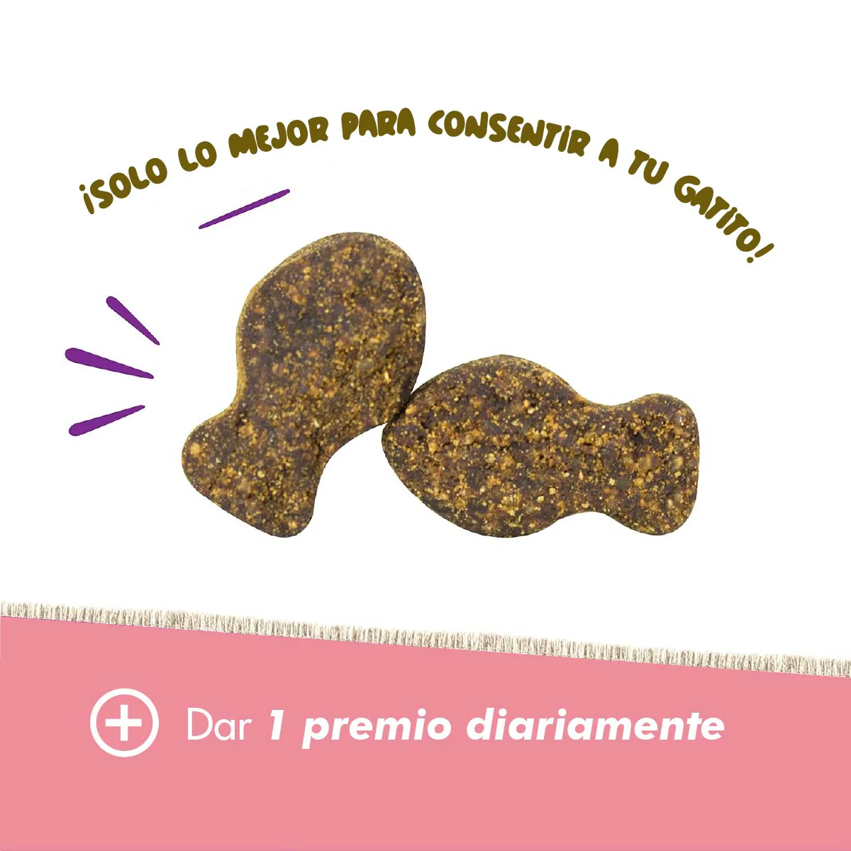 Daily Probiotic para Gatos – Soporte Digestivo Diario