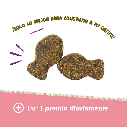 Daily Probiotic para Gatos – Soporte Digestivo Diario