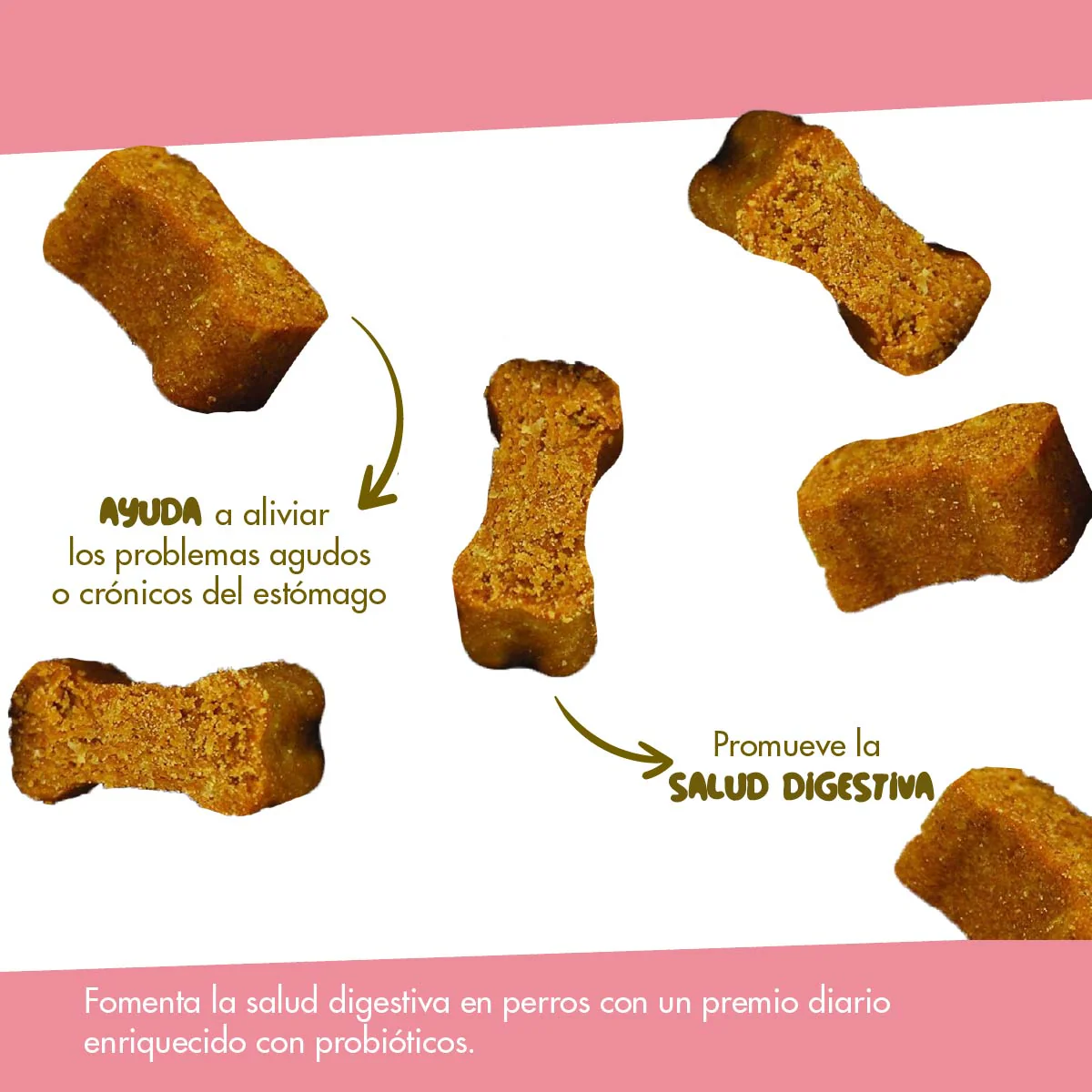 Daily Probiotic para Perros – Soporte Digestivo Diario