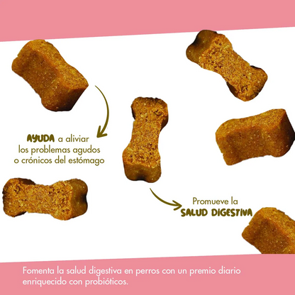 Daily Probiotic para Perros – Soporte Digestivo Diario