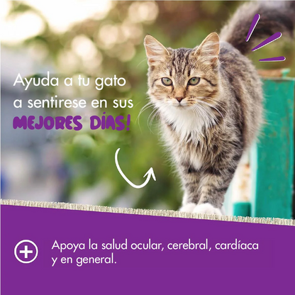 Vitalidad y Bienestar Diario – Daily Multi Vitaminas para Gatos