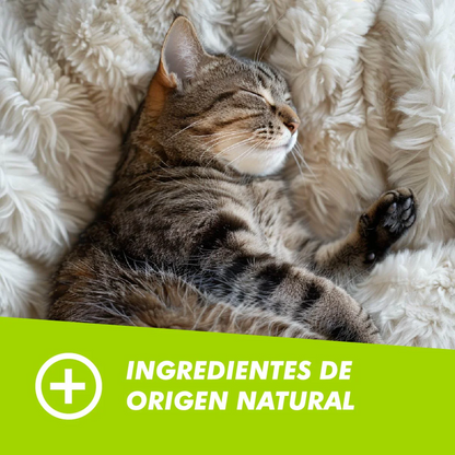 Hairball Chew para Gatos – Control de Bolas de Pelo
