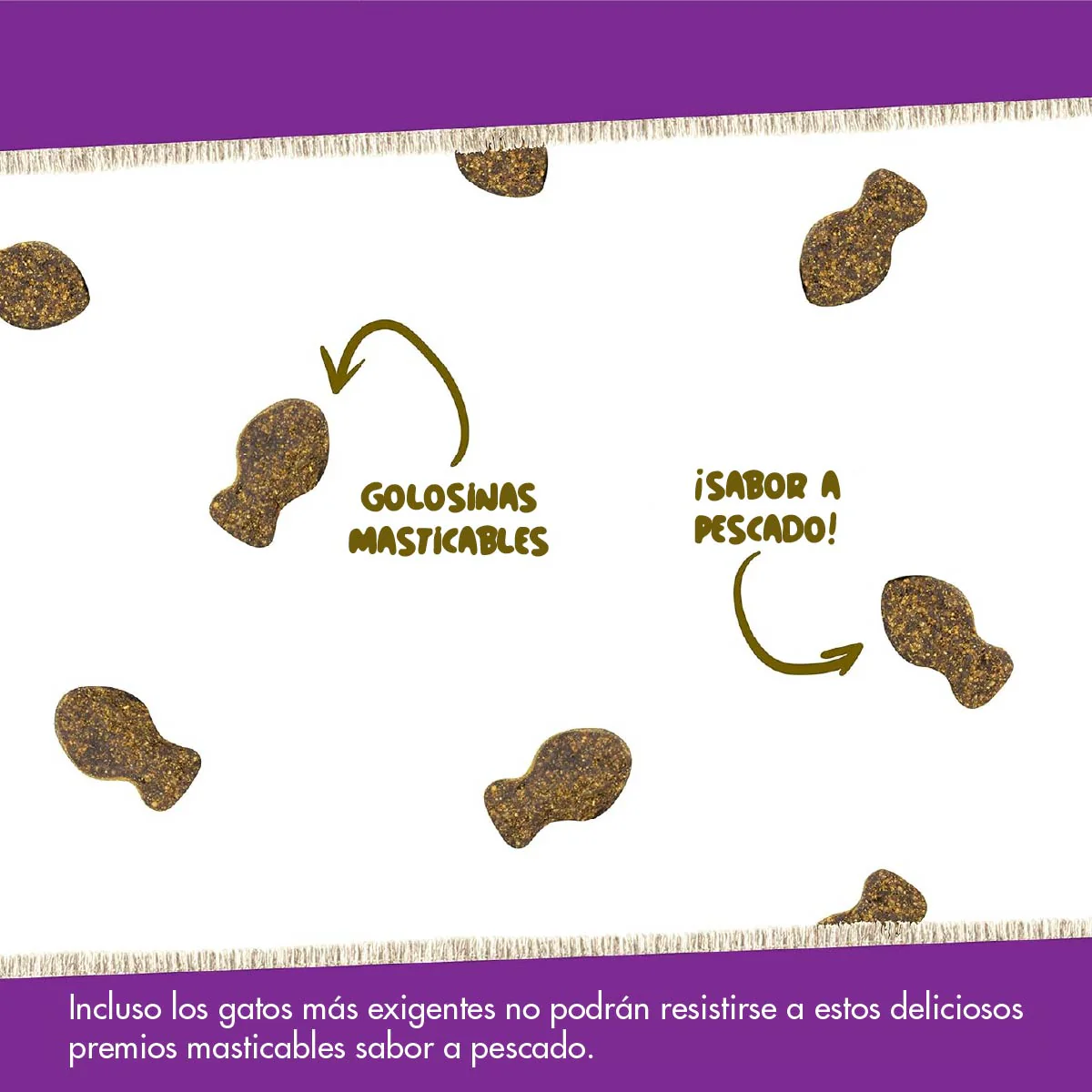 Vitalidad y Bienestar Diario – Daily Multi Vitaminas para Gatos