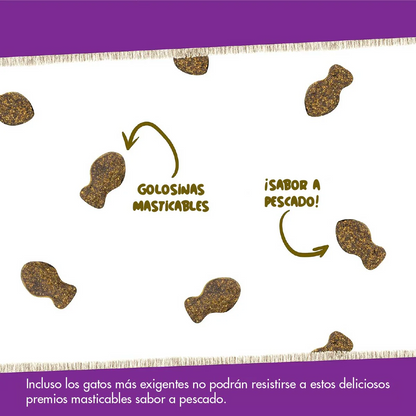 Vitalidad y Bienestar Diario – Daily Multi Vitaminas para Gatos