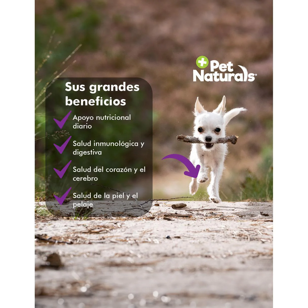 Energía y Nutrición Completa – Daily Multi Vitaminas para Perros