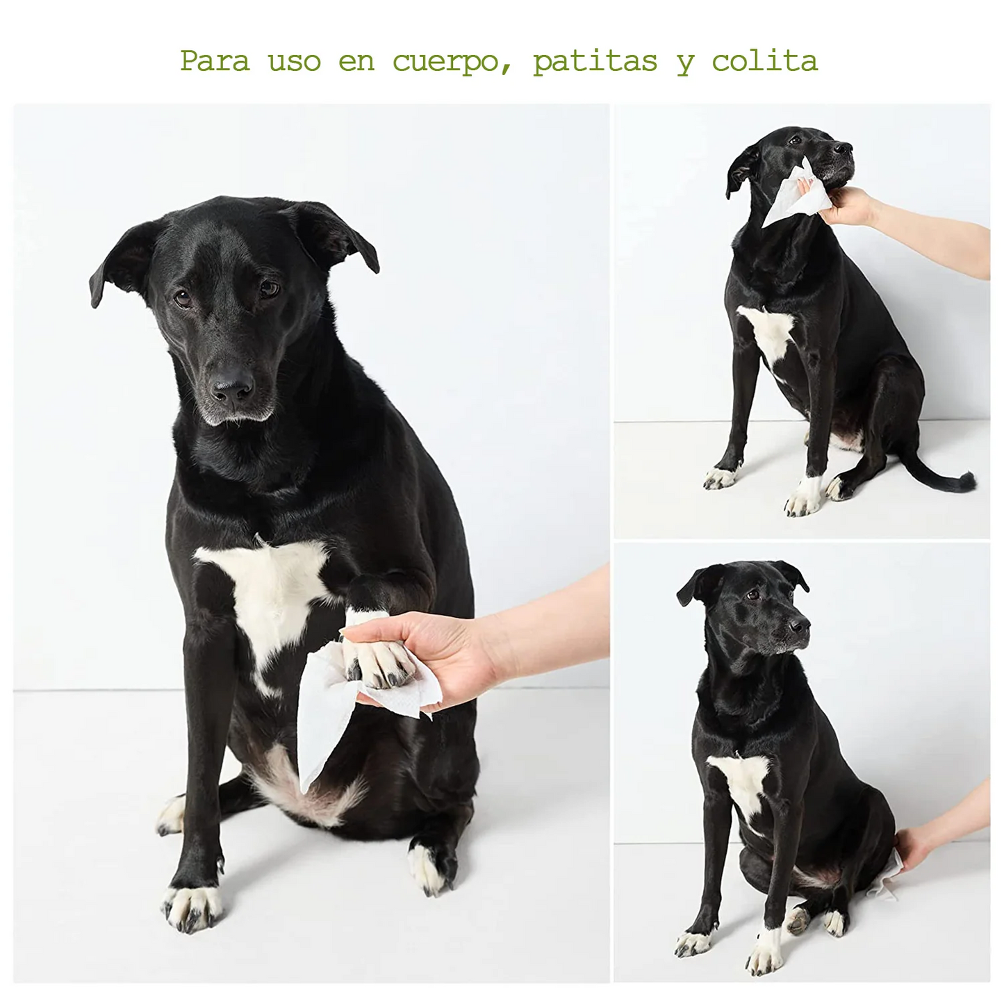 Toallitas Húmedas para Perros Hipoalergénicas – Aroma Lavanda 100 pzs